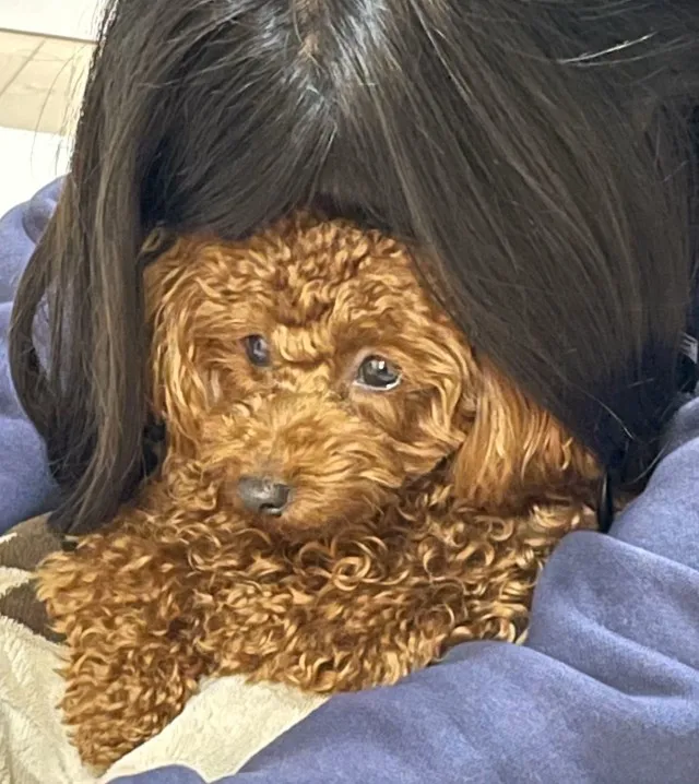 エントリー No.45の画像